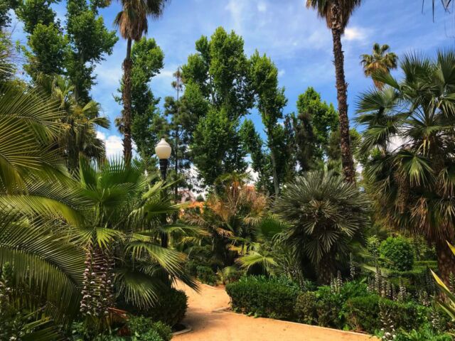 park Ribalta w Castellon