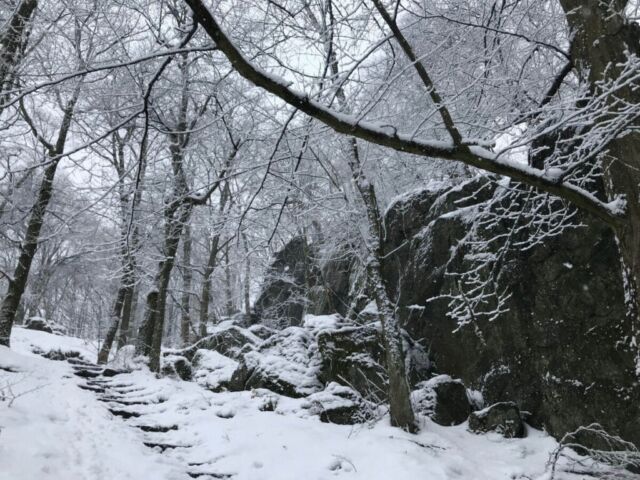 schody prowadzace do zrodla anny