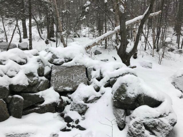 zrodlo beyer w calosci